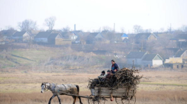 Лошади были одомашнены в степях Украины, России и Казахстана, подтвердили ученые