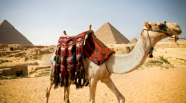 Таємниці Єгипту: все те, що залишилося за межами «all inclusive»