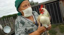 10 кілометрів відділяють Україну від „пташиного грипу'