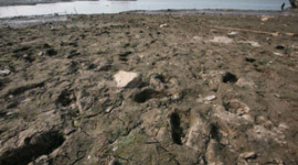 У басейні річки Янцзи сталася найбільша осіння засуха за останніх півстоліття