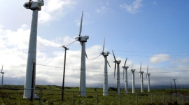 Британія може відмовитись від будівництва вітряних електростанцій