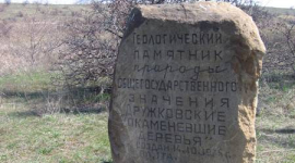 Окаменевшие Дружковские деревья возрастом 250 млн лет - «Седьмое чудо Украины»