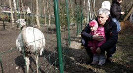 Що буде на території Межигір'я