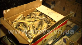 Вінницька ветеринарна міліція виявила 8 тонн небезпечної риби