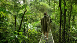 Екологічний туризм: подорожі без ризику для природи