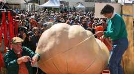 Гігантський 692-кілограмовий гарбуз побив рекорди на світовому гарбузовому чемпіонаті