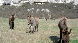 Весна в горном Крыму