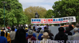 Более тысячи человек пришли поддержать митинг в Торонто