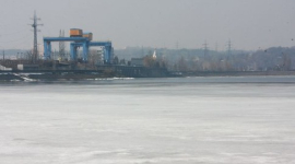 До Київського водосховища пливуть отрутохімікати