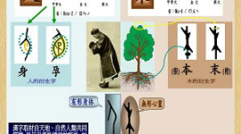 Традиционные китайские иероглифы станут основным единым шрифтом