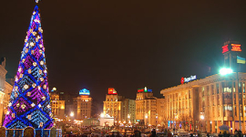 Фотоогляд: Головна ялинка України виблискує в Києві на площі Незалежності