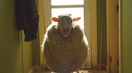 Обзор фильма «Паршивая овца»