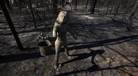 У штаті Техас бушують небувалі лісові пожежі