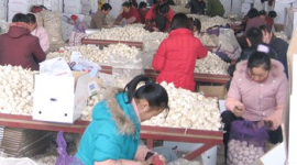 В Китае цены на чеснок возросли в 40 раз 