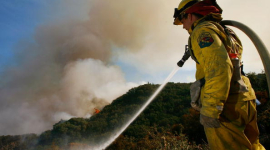 Лісові пожежі вирують на заході США