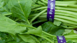 Кращі продукти для очей