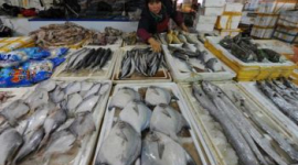 Риба в Китаї вирощується на антибіотиках