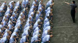 Спішне видалення органів і знищення свідків продовжується