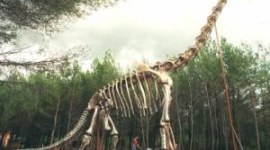 Що насправді вбило динозаврів?