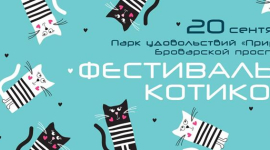 В Киеве пройдёт первый кошачий фестиваль