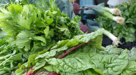 Листовые овощи и зелень — 11 простых фактов о пользе для здоровья