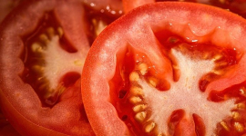 В Испании выбрали самый уродливый помидор сезона