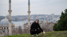 Стамбул стал убежищем для россиян от мобилизации