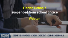 Флорида принимает меры против четырех школ, спонсируемых Китаем