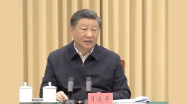 Сі Цзіньпін заявив про "насилу завойовану стабільність" у Сіньцзяні