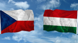 За украинскими выборами будут наблюдать Венгрия и Чехия