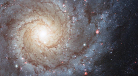 Галактики становятся более организованными, считают учёные