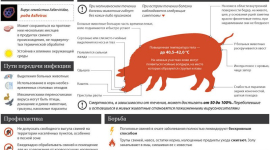 Начата выплата компенсаций хозяйствам, потерявшим свиней из-за африканской чумы