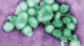 В Китае зафиксирован первый случай смерти от гриппа H1N1