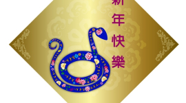 Наступает китайский Новый год 2013 — год змеи