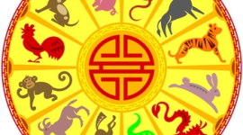 Китайский гороскоп: что принесет 2010 год Тигра? 