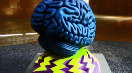 Тайны мозга: Откуда берутся фантомные боли? Как стать гением?