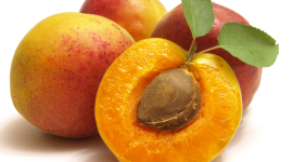 Лечение рака: абрикосовые косточки содержат витамин B-17