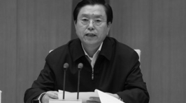Украину посетит китайский чиновник, обвиняемый в преступлениях против человечности