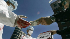 166 тысяч подписей переданы в ООН против чёрной трансплантологии в Китае