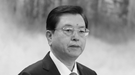 Кто теперь руководит Китаем: Чжан Дэцзян (Часть 4)