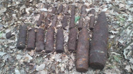 В киевском лесу нашли тайник с боеприпасами