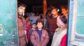 Румынских властей не волнует судьба ромских семей в стране