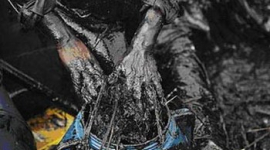 Нефть из Жёлтого моря в Китае вылавливают рыбаки голыми руками – Гринпис. Фотообзор