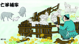 Культура Китая: Починить загон после пропажи овец — идиома 43