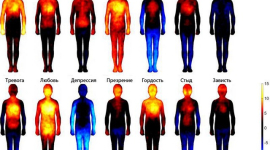 Финские учёные составили карту эмоций на человеческом теле