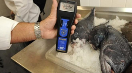 В рыбе около «Фукусимы» обнаружили смертельную дозу радиации