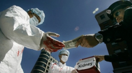 Вынужденные доноры: опровержение данных Пекина об «органах казненных заключенных». Часть 8 