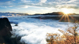 Гора Али в Тайване: древние леса, восход солнца