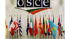 Украина начнёт председательствовать в ОБСЕ с 15 января 2013 года