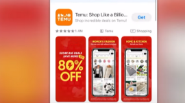 ЕС требует от Temu препятствовать продажам незаконной продукции
